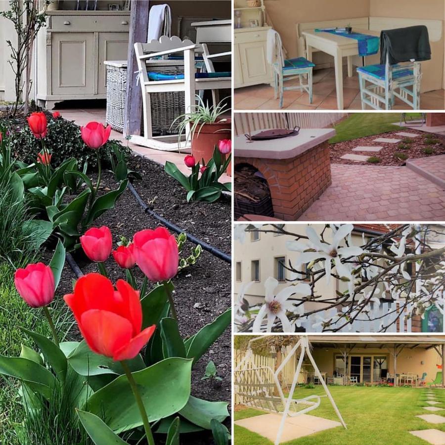 Hotel Kis Szarcsa Vendeghaz Gárdony Zewnętrze zdjęcie