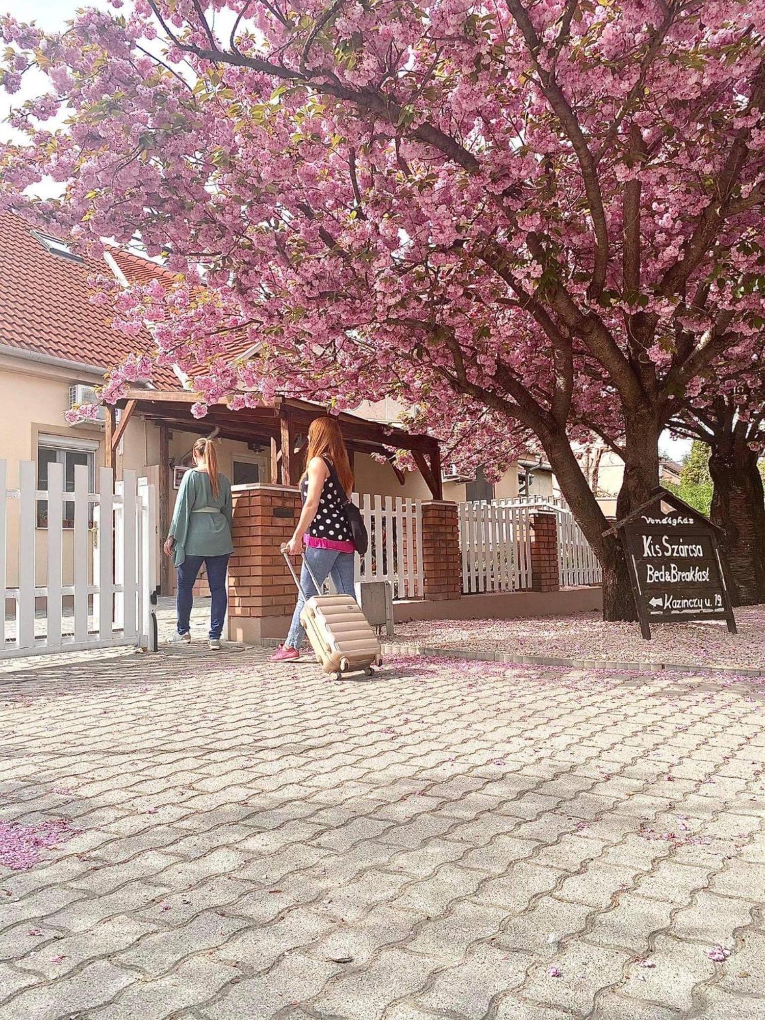 Hotel Kis Szarcsa Vendeghaz Gárdony Zewnętrze zdjęcie